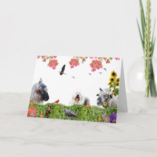 Cartes Pour Fêtes Annuelles Profitez de l'abondance de la terre : HappyThanksg