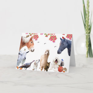Cartes Pour Fêtes Annuelles Profitez de l'abondance de la terre : Joyeux Thank