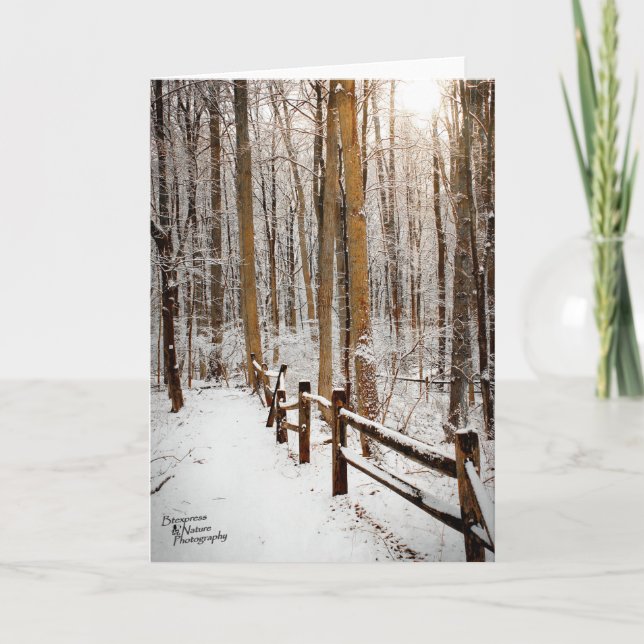 Cartes Pour Fêtes Annuelles Promenade d'hiver (5,0) (Devant)