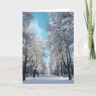 Cartes Pour Fêtes Annuelles promenade d'hiver dans le parc