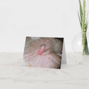 Cartes Pour Fêtes Annuelles Prune de sucre