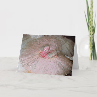 Cartes Pour Fêtes Annuelles Prune de sucre