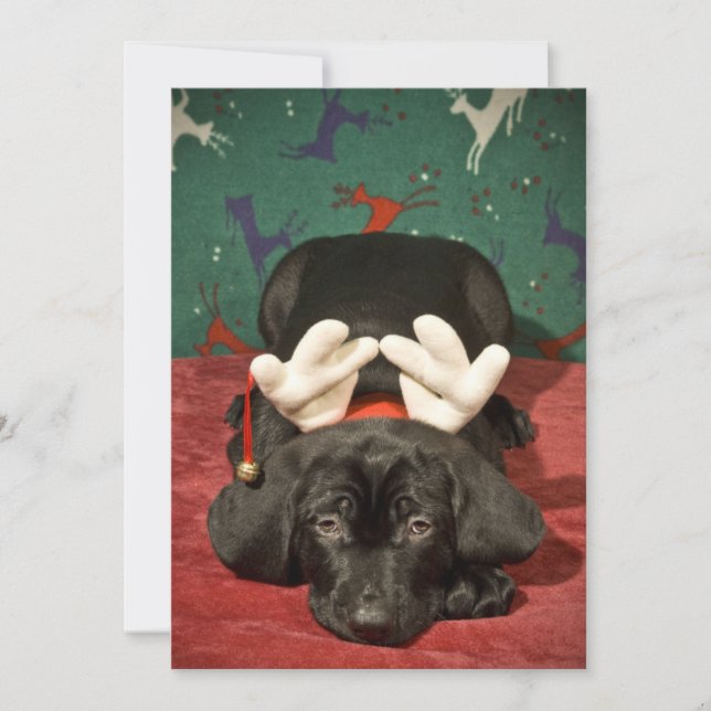 Cartes Pour Fêtes Annuelles Pub de Noël triste (Devant)