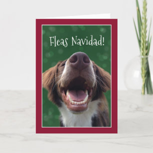 Cartes Pour Fêtes Annuelles Puces Navidad ! Chien humoristique à Noël