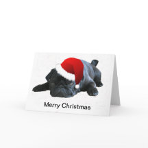 Pug Christmas Card