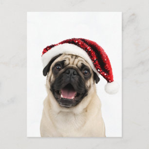 Cartes Pour Fêtes Annuelles Pug heureux portant un chapeau de Père Noël rouge 