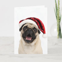 Pug heureux portant un chapeau de Père Noël rouge 