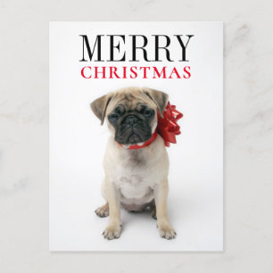 Cartes Pour Fêtes Annuelles Pug puppy with Christmas Bow