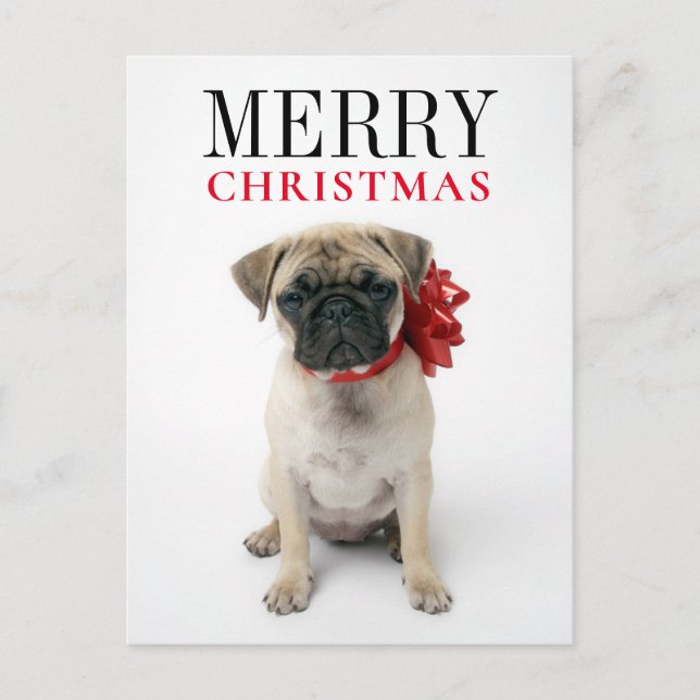 Cartes Pour Fêtes Annuelles Pug puppy with Christmas Bow (Devant)