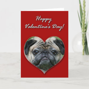 Cartes Pour Fêtes Annuelles Pug Valentines