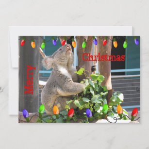 Cartes Pour Fêtes Annuelles Puisse Vos Lumières Briller. Noël de Koala