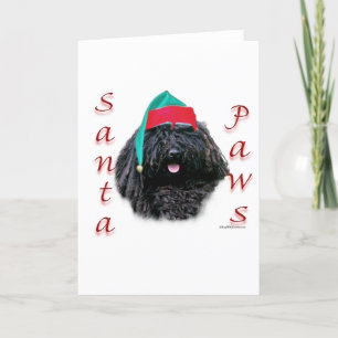 Cartes Pour Fêtes Annuelles Puli Père Noël Paws