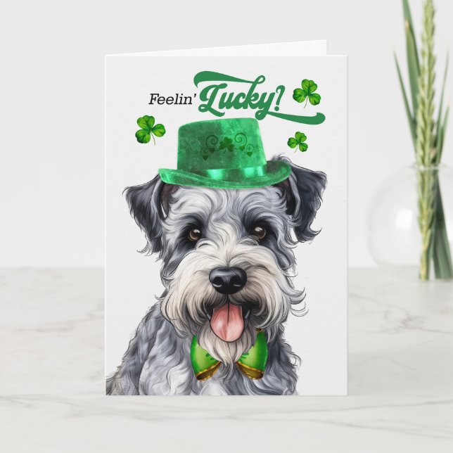 Cartes Pour Fêtes Annuelles Pumi Chien Lucky St Patrick's Day (Devant)