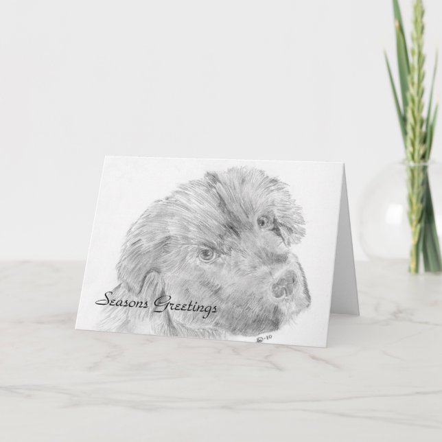 Cartes Pour Fêtes Annuelles Pup (Devant)