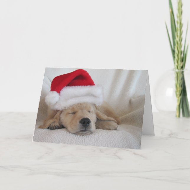 Cartes Pour Fêtes Annuelles Pup de Noël Santa Hat (Devant)