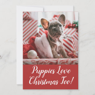 Cartes Pour Fêtes Annuelles Puppies Aimer Noël French Bulldog