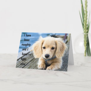 CARTES POUR FÊTES ANNUELLES PUPPY A ÉTÉ NEUF/JOLIE À NOËL