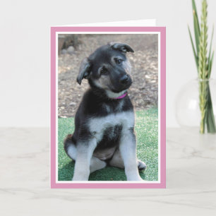 Cartes Pour Fêtes Annuelles Puppy Be My Valentine