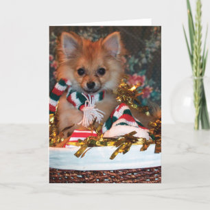 Cartes Pour Fêtes Annuelles Puppy de Christmas