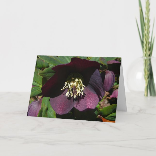 Cartes Pour Fêtes Annuelles Purple Carême Rose Pâques (Devant)