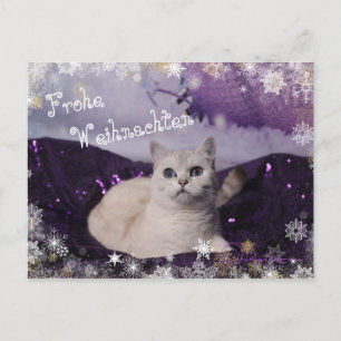 Cartes Pour Fêtes Annuelles Purple XMAS Cats