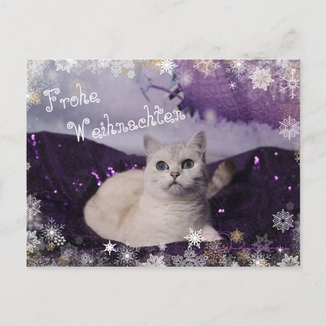 Cartes Pour Fêtes Annuelles Purple XMAS Cats (Devant)