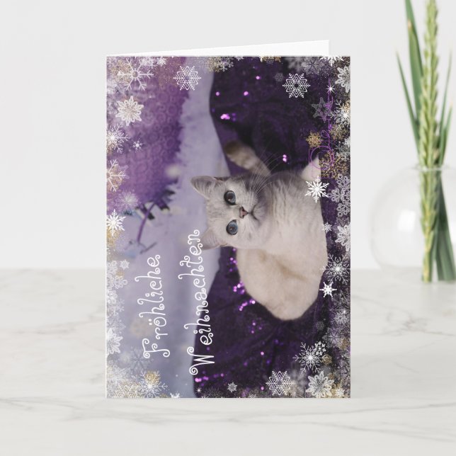 Cartes Pour Fêtes Annuelles Purple XMAS Cats (Devant)