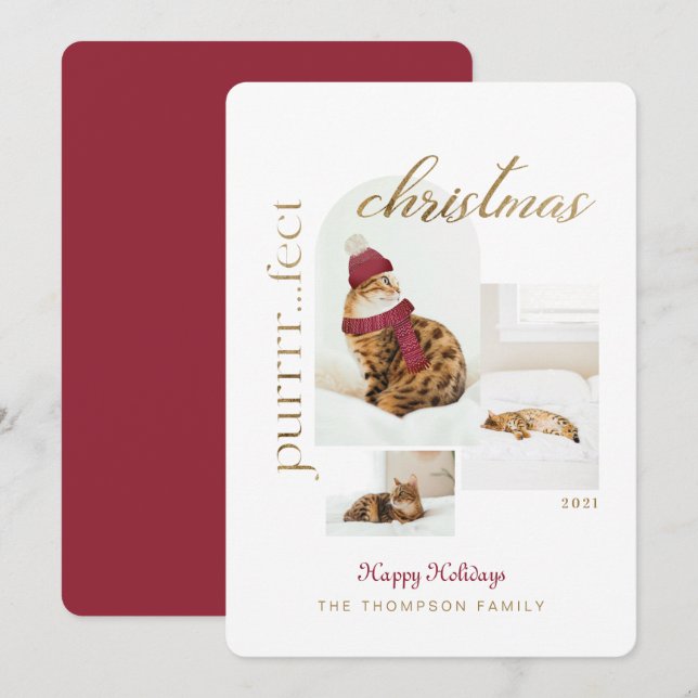 Cartes Pour Fêtes Annuelles Purrrr..fect Noël Amusant & Cosy Cat Trois Photo (Devant / Derrière)