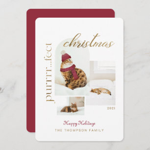 Cartes Pour Fêtes Annuelles Purrrr..fect Noël Amusant & Cosy Cat Trois Photo