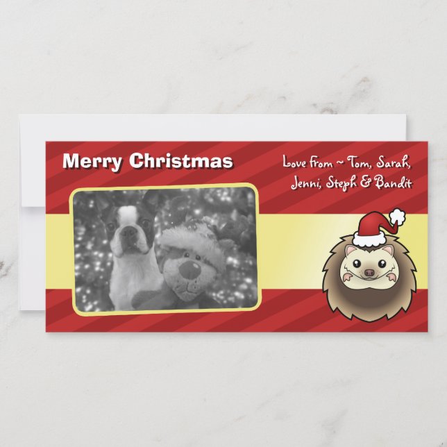 Cartes Pour Fêtes Annuelles Pygmée de Noël Hérisson (Devant)