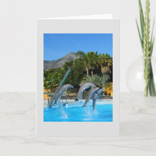 Cartes Pour Fêtes Annuelles Quatre dauphins sauteurs