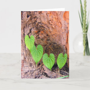 Cartes Pour Fêtes Annuelles Quatuor Heart