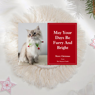Cartes Pour Fêtes Annuelles Que vos journées soient poilues et lumineuses Noël