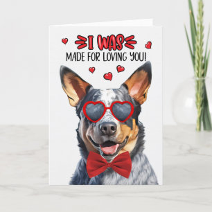 Cartes Pour Fêtes Annuelles Queensland Heeler Chien Vous Aimant Valentine