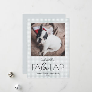 Cartes Pour Fêtes Annuelles Quel FaLaLa Drôle De Noël Pour Animaux De Compagni