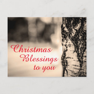 Cartes Pour Fêtes Annuelles Quiet Peace Rustic Birch Tree Christmas Blessings