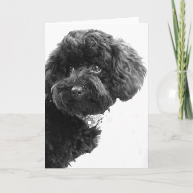 Cartes Pour Fêtes Annuelles Quoi ? (Devant)