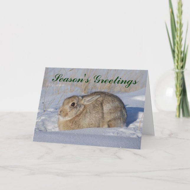 Cartes Pour Fêtes Annuelles R5 Lapin de coton dans la neige (Devant)