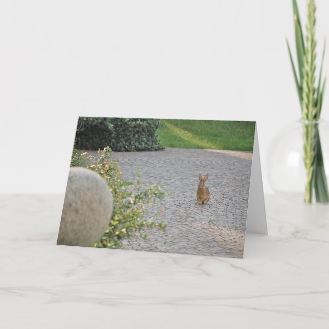 Cartes Pour Fêtes Annuelles Rabbit "Romeo" (Devant)