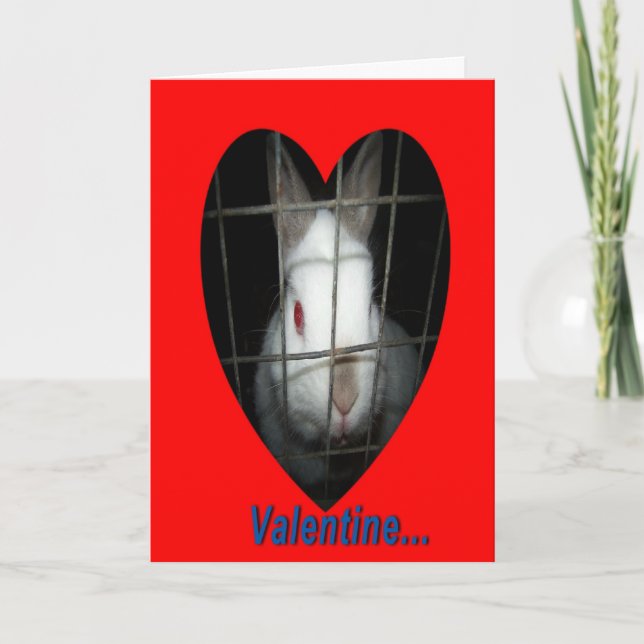 Cartes Pour Fêtes Annuelles Rabbit Valentine (Devant)