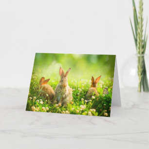 Cartes Pour Fêtes Annuelles Rabbits d'Easter