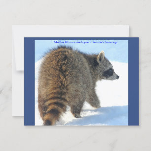 Cartes Pour Fêtes Annuelles Raccoon dans la neige des fêtes