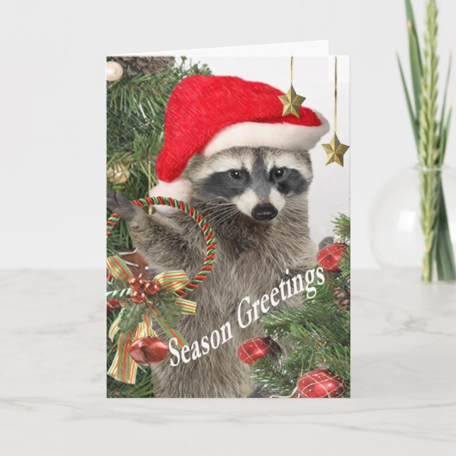 Cartes Pour Fêtes Annuelles Raccoon voeux de vacances (Devant)