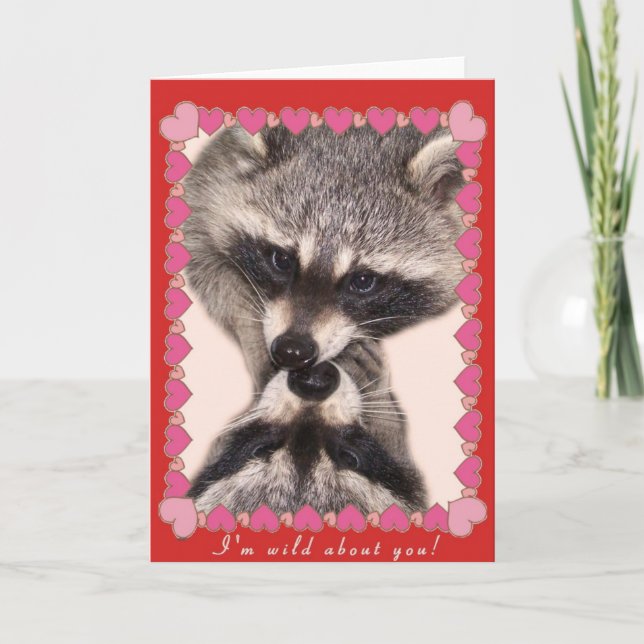 Cartes Pour Fêtes Annuelles Raccoons de baiser (Devant)