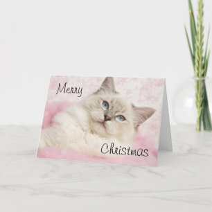 Cartes Pour Fêtes Annuelles Ragdoll Christmas card