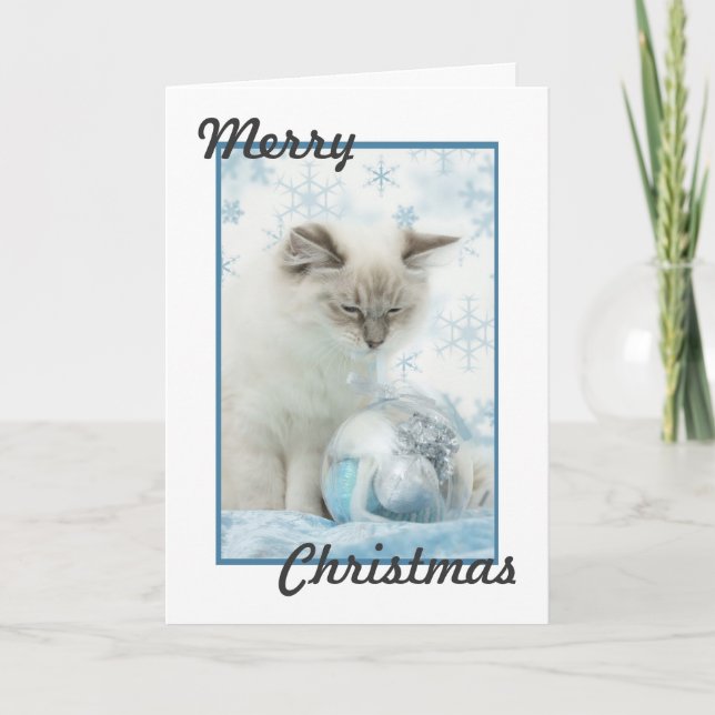 Cartes Pour Fêtes Annuelles ragdoll christmas card (Devant)