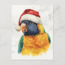 Rainbow Lorikeet in Santa Hat Watercolor