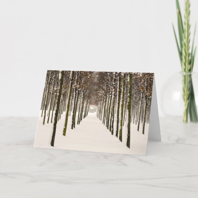 Cartes Pour Fêtes Annuelles Rangées des arbres (Devant)
