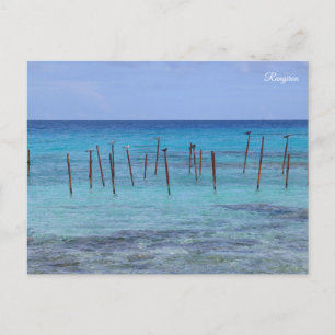 Cartes Pour Fêtes Annuelles Rangiroa Polynésie française