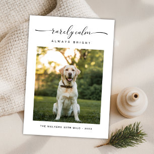 Cartes Pour Fêtes Annuelles Rarement Calme Toujours Bright Cute Chien Photo No
